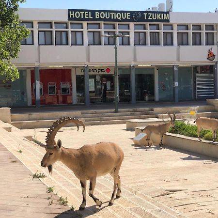 Tzukim Desert Traveler'S Hotel - מלון צוקים Мицпе-Рамон Экстерьер фото
